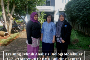 Training Teknik Analisis Biologi Molekuler