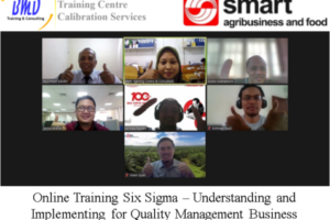Training Six Sigma – Understanding and Implementing for Quality Management Business Improvement